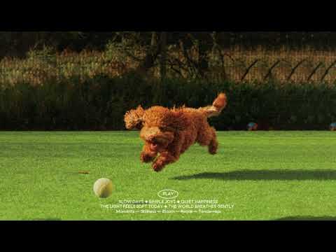 ๐๐ฅ๐๐ฒ๐ฅ๐ข๐ฌ๐ญ ์ธ์คํ๊ฐ์ฑ ์นดํ์์ ๋์ค๋ ๋ฌด๋์๋ ๋ฐ์ผ๋ฆฌํ๐ค daily pop ใป indie pop ยท aesthetic music