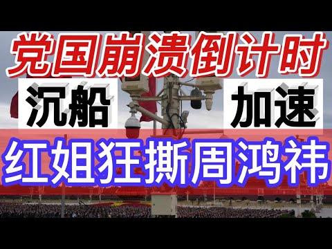 海南封关 沉船加速国安保护伞失效 红姐狂撕周鸿祎|共党崩溃倒计时|币圈淫乱 Reaction Video