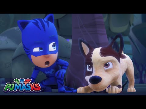 Cat vs Dog! 🐈⬛🐕 | PJ Masks Full Episode | Cartoons for Kids | #superheroes
