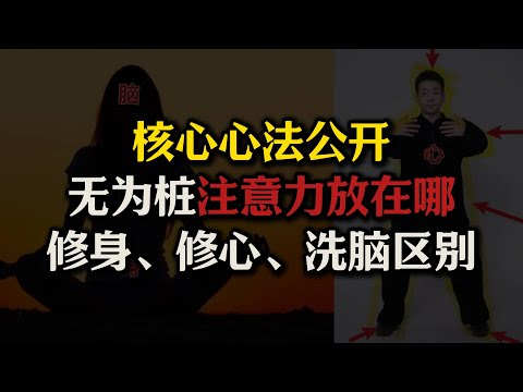 无为桩核心心法公开,练的时候心到底应该放哪里?世间一切修行对象无非三种:修身、修心、修脑!#修行#门罗#阴神#阳神#站桩#养生