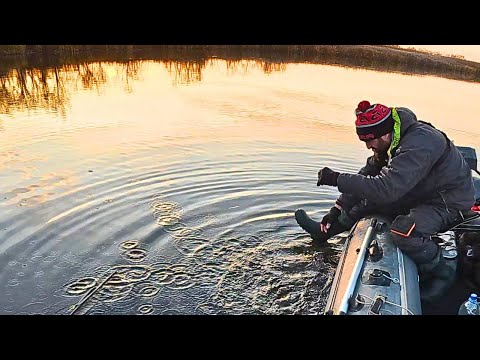 Вони клюють ОДИН за ОДНИМ, Ось ВОНА Вечірня роздача , Рибалка ТОП