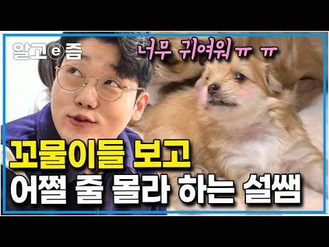 “아~ 어떡하지~”새끼 강아지들을 보자마자 첫눈에 반해 눈을 못 떼는 설쌤! 새끼들을 키울 때 꼭 명심해야 하는 팁 대공개 │세상에 나쁜 개는 없다│알고e즘