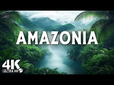 AMAZONIA INÉDITA - Lugares Ocultos de los que Nadie Habla - Video de Viaje 4K