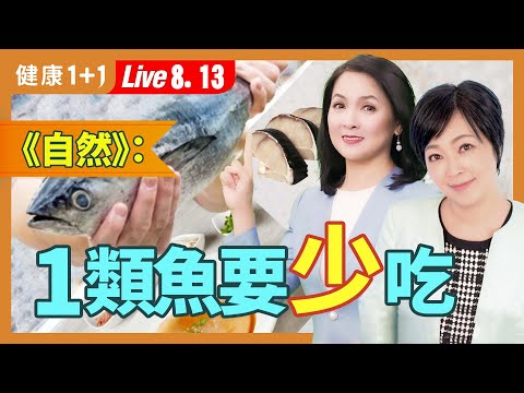 少吃這種魚,尤其是2類人;研究發現要少吃鮭魚,多吃鯖魚,這些魚的營養比鮭魚還高(2024.08.13)| 健康1+1 · 直播