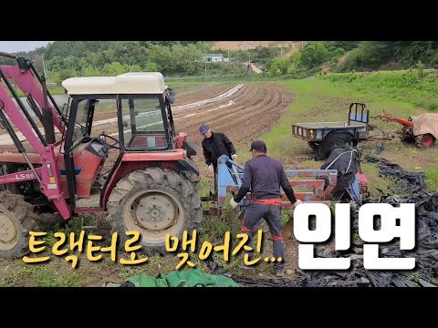 고장나서 방치된 트랙터 수리후 다시 주인분께...