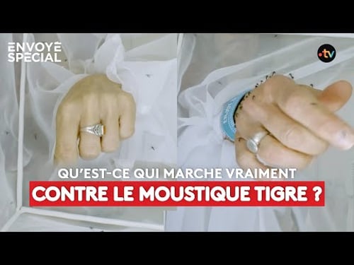 Qu’est ce qui marche vraiment contre le moustique tigre ?