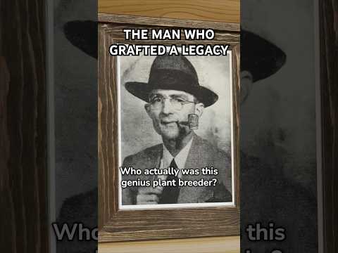 The Man Who Grafted A Legacy