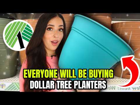 Everyone will be buying Dollar Tree Planters after seeing these GENIUS ideas! 2025