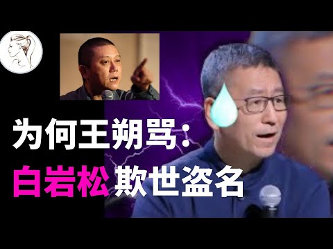 白岩松一句”不会吧“引众怒, 却意外捧火了王朔!20年前王朔就已看穿他!【有耳说事】