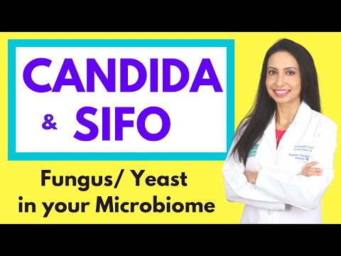 CANDIDA and SIFO (Small Intestine Fungal Overgrowth): Fungal/ Yeast Overgrowth in the Microbiome