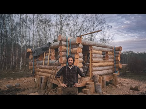 Seul en forêt depuis 6 mois, j'ai enfin fini les murs de ma cabane