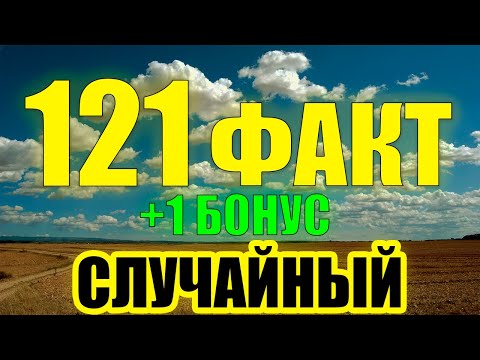 121 Случайный Факт, Который Вы Точно Не знали... — (+1 БОНУС ФАКТ)