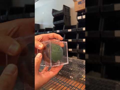 How to open a baseball display case