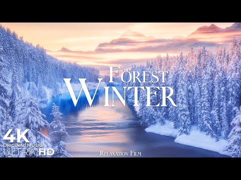 Winter Forest 4K • Snow Ambience - Relaxation Film with Deep Calming Music | Nature Ultra HD