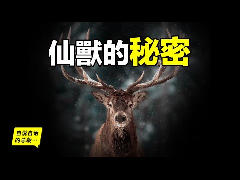 鹿:大自然的死侍,擁有超級血液,能再生器官、百毒不侵,還能輕功飛天、一葦渡江,這就是為什麼無論東西方都認為它是仙獸的真正原因……|自說自話的總裁