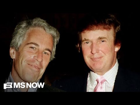 ‘Female bodies were their currency’: Explosive new reporting details Trump and Epstein’s bond