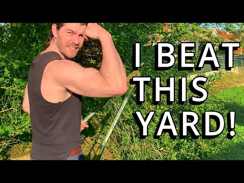 My BATTLE With The WORST Yard On The STREET - FREE Garden Makeover