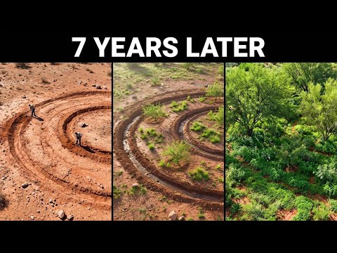 How Desert Communities in Arizona Are Transforming Wastelands Into Food Oases With Simple Technology