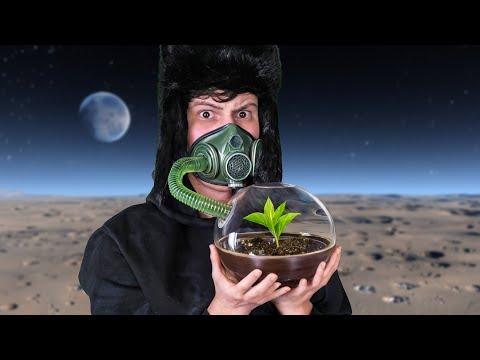 How many plants do you need to breathe? TESTED