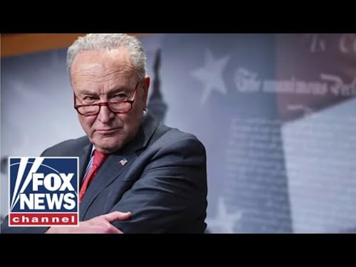 'MOVE ASIDE': McCarthy unloads on Schumer over funding mess