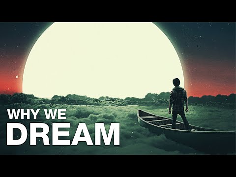 Why Do We Dream?