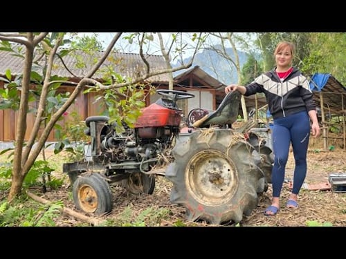 The girl repaired and restored the old plow, was abandoned for a long time for the neighbor.