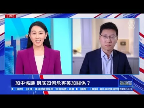 加拿大總理卡尼親中路線慘敗,親美才是加拿大唯一選擇!公子沈點評中美加三國關係最新進展...