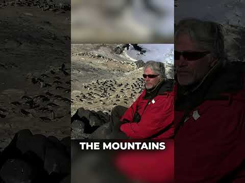 The Depressed Penguin Is Alive !!!