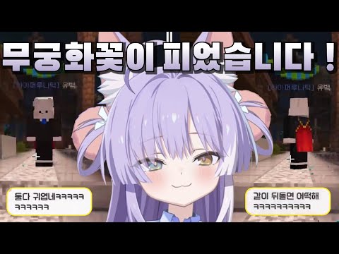 분내나는 쌀멋 서버 운영자님이랑 귀엽게 노는 부키