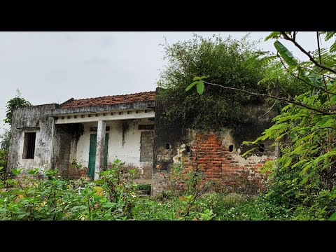 Help the old lady clean up the old house with grass growing to the roof | Super satisfying results