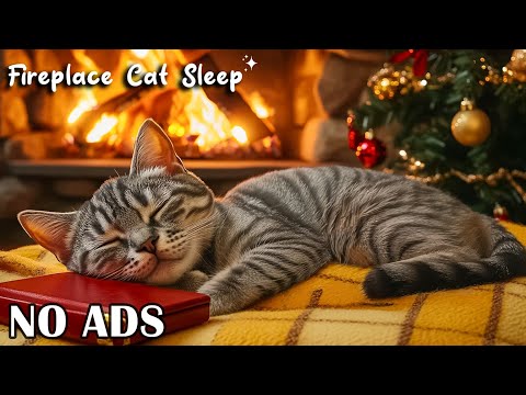 NO ADS - Cat Relaxing Music 😻 Warm Fire Sounds 🎄 Christmas Sleep Sounds for Healing Rest