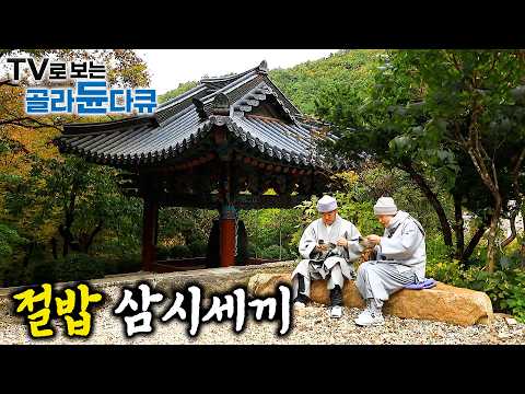 사찰 음식의 대가들이 모였다! 스님 손맛 가득한 건강 절밥 🍚 자연을 품은 절밥 삼시세끼 1시간 몰아보기🍚|한국기행|#tv로보는골라듄다큐