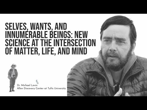 Selves, Wants, and Innumerable Beings