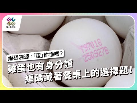 雞蛋也有身分證,編碼藏著餐桌上的選擇題!|編碼溯源 「蛋」你懂嗎?|公視 #獨立特派員 第930集 20251126