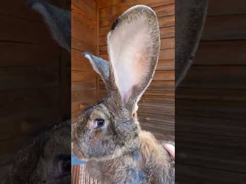 ДЛЯ ДРУЗЕЙ И КОЛЕГ