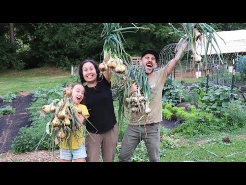 Our Last Year Here/ 2021 year in Review