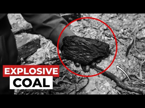 The Fake Coal That Destroyed 1,000 German Trains | WWII’s Most Ingenious Sabotage Weapon