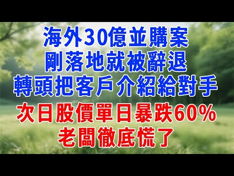 海外30億並購案剛落地就被辭退,我轉頭把5個核心客戶介紹給對手,次日股價單日暴跌60%,老闆徹底慌了!#原创视频 #人生感悟 #故事分享 #故事頻道 #生活經驗 #职场 #打脸