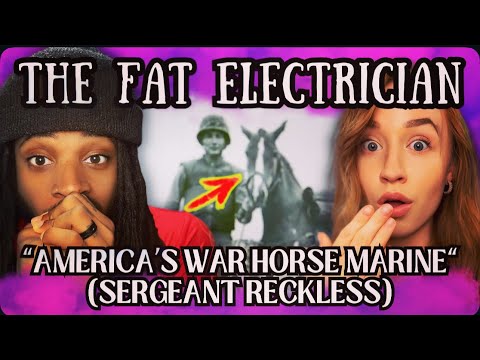 Meet AMERICA'S Heroic War Horse Marine ‘Sergeant Reckless’
