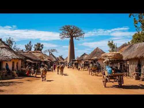 MADAGASCAR: The World's Strangest Island