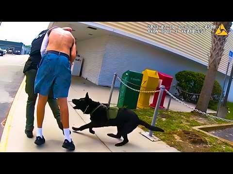 Suspect Messes With K-9 and Finds Out
