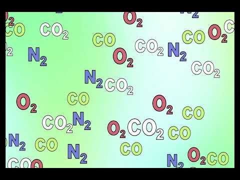 Ann Marie CarltonRU TEDx