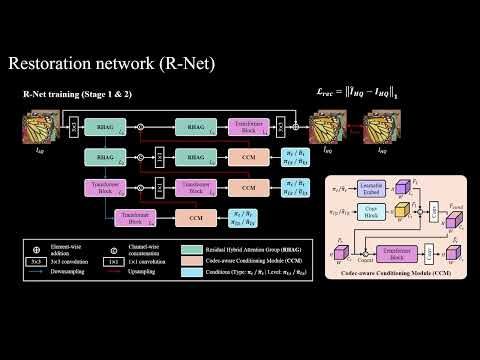 Universal Compressed Image Restoration via Codec Aware Conditioning with Reinforcement Learning