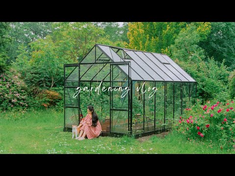 #146 Building our first greenhouse to grow vegetables at home | Countryside slow life