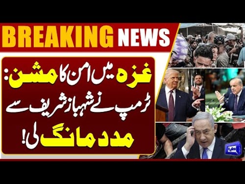 Shahbaz Sharif Invited by US President to Join Gaza Peace Board | Palestine, Israel War | Dunya News