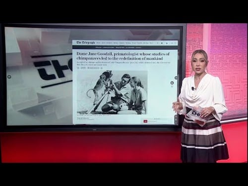 Views: Israel’s Interception of Gaza Flotilla and the Detention of Activists | The Dailies