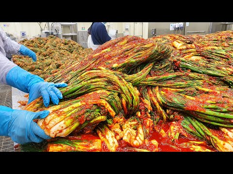 Perfect Hygiene Shock! Inside Korea’s Giant Kimchi Factory / Korean food