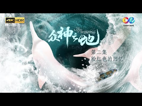【ENGSUB】EP2 “粉红色美人鱼”——中华白海豚到底是一个什么样的物种? | 《众神之地》 The Land of Spirits
