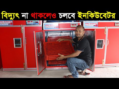 ২৪ ঘন্টা বিদুৎ না থাকলে ও ইনকিউবেটরে ফুটবে ডিম।রবিউল ইনকিউবেটর।