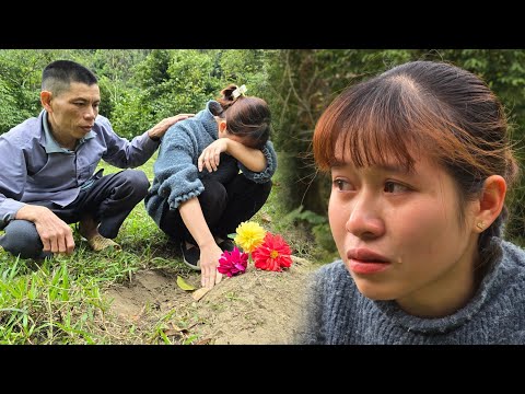 MiMi suddenly passed away | The Endless Sadness of a Cat Lover, Animal, Cat